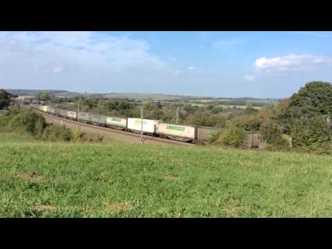 Ambrogio train in Voneche