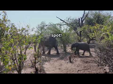 10 Must Visit Spots In Ghana! 2025