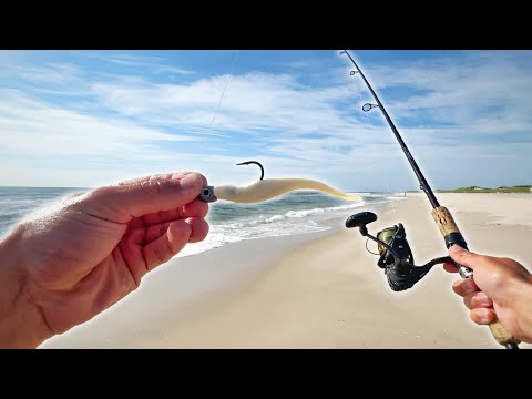 Limited Out By Breakfast!!! EASY Summer Surf Fishing!