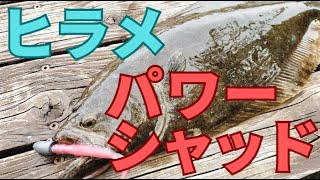 【パワーシャッドはヒラメ最強】釣れない時の使い方はコレ！
