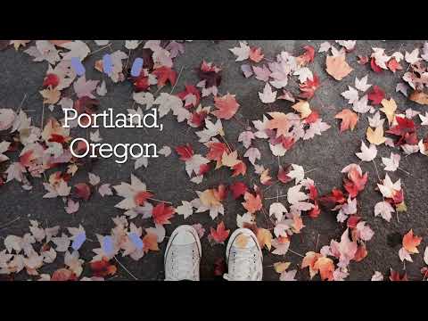 Urban Trees slideshow