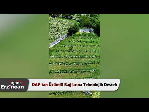 DAP’tan Üzümlü Bağlarına Teknolojik Destek