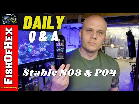 Tips For Keeping Stable Nitrates & Phosphates In A Reef Tank  | Daily Q&A