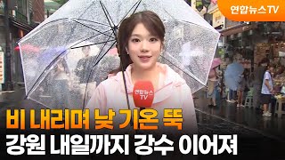 [날씨] 비 내리며 낮 기온 뚝…강원 내일까지 강수 이어져 / 연합뉴스TV (YonhapnewsTV)