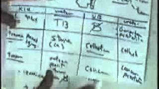 systemic pathology :renal system 5  renal cyst failure stone bladder cancer DR SAMEH GHAZY