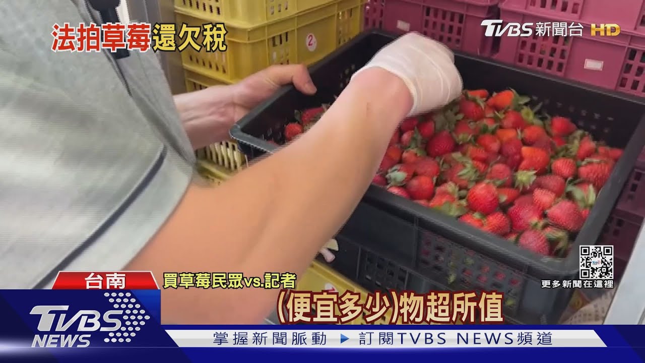 欠稅拿「自家草莓」法拍！20籃6600元得標市價約7折