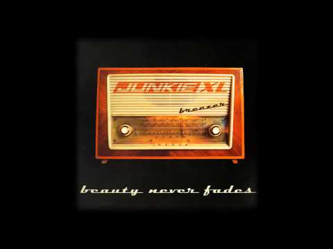 Junkie XL feat. Saffron - Beauty Never Fades