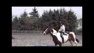 Jumping without Saddles ( Bareback ) [ 02.06.12 ]
