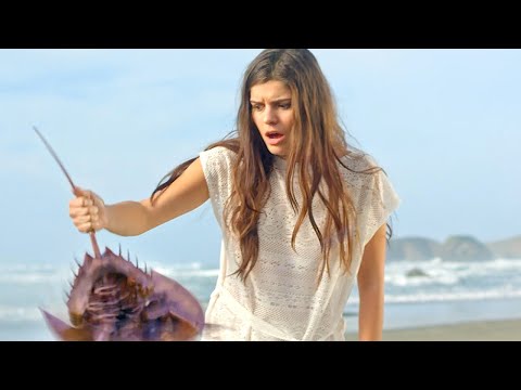 afbeelding CRABS! "Killer Clip" (2021) Horror Comedy