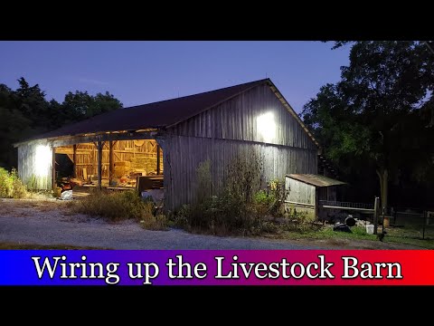 Wiring up electricity in the livestock barn.  Power and lights for the livestock. Video