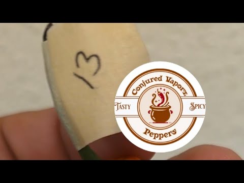 The List 📃Continues W/ Conjured Vapors