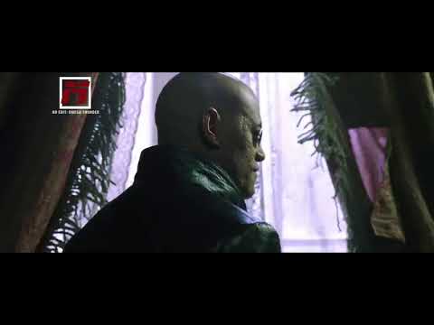 De Meetriks - Eet veel BANAAN