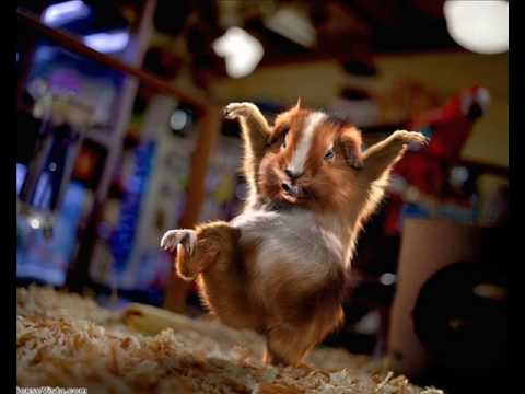 hvad nu hvis alex feat nik og jay