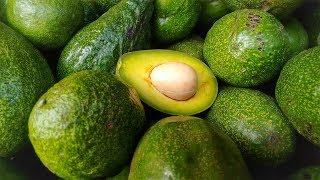 Warenkunde Avocado: Lecker und gesund - aber mit schlechter Ökobilanz