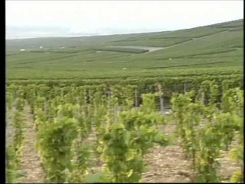 download lagu mp3 mp4 Sparkling Wine Production, download lagu Sparkling Wine Production gratis, unduh video klip Sparkling Wine Production