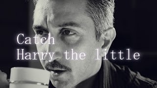Catch Harry the little