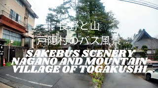 Sakebus Scenes 🚌| Nagano City to Mountain Village of Togakushi | Spring 2025 Japan 🌸