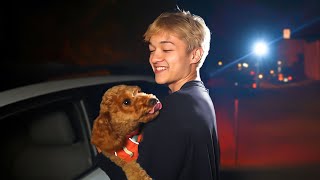 Reuniting With Sakura's Dog!
