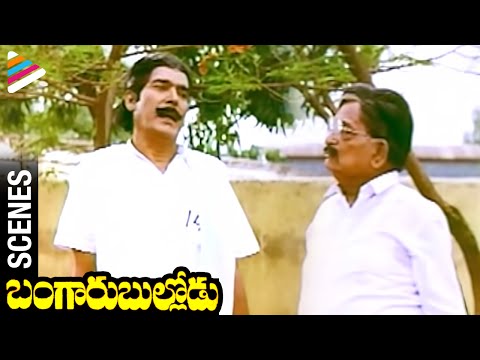 Allu Ramalingaiah Trolls Rao Gopal Rao | Bangaru Bullodu Telugu Movie Scenes | Telugu Filmnagar