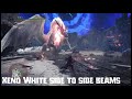 Xeno White Fatalis Differences And Details