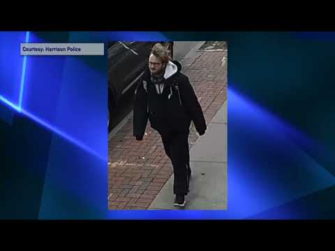 Harrison Search For Suspect