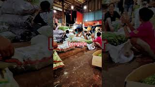 Download lagu gerahhh#shortsvideo mp3 Download lagu gerahhh#shortsvideo mp3