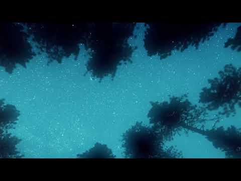 REBRN - Finish Line (Official Audio)