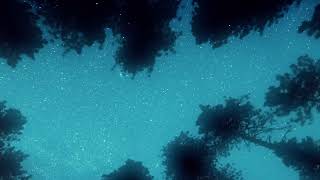 Rebrn - Finish Line video