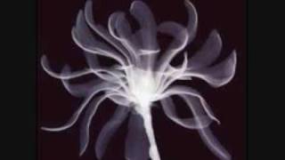 Jump Little Children - Too High