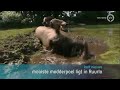 GLD Nieuws 23 juli 2013 - Nieuws
