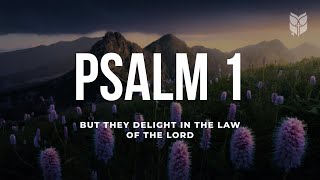 Psalm 1  Holy Bible NLT BibleVision