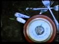 The Bats - Afternoon In Bed