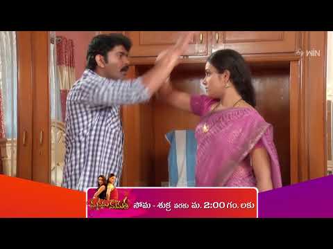 Manasu Mamata Promo | 21st October 2024 | Episode No 177 |  ETV Plus @ 2:00 PM
