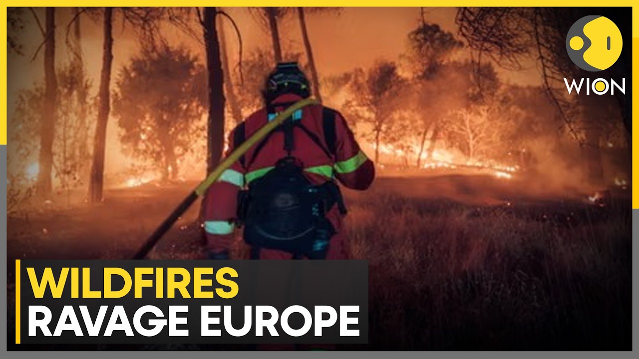 Europe Wildfires: German Village Shrouded In Belgian Fire Smoke | WION News