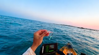 TINY SLOW PITCH JIG CATCHES EVERYTHING! Was looking for scup for dinner, but.......