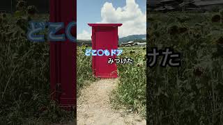 野生のどこでもドア見つけた!! #声真似 #ドラえもん #どこでもドア #ひまわり畑 #夏の思い出 #summershorts  #โดราเอมอนต่างประเทศ #Doraemonn