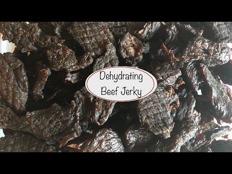 Landfall Larder UK Beef Jerky dehydrator dry home...