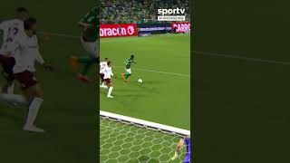 OS GOLS DA VITÓRIA DO PALMEIRAS SOBRE O FLUMINENSE, PELO BRASILEIRÃO!