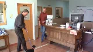 Dog Day Care Oswego IL  | Dog Grooming Oswego IL | Cat Boarding | Dog Training near Oswego IL