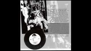 The Brian Jonestown Massacre   I Fought the Law