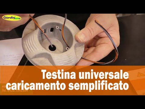 Miniatura Video