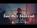 Sun Meri Shehzadi Mar Bhi Gaya To Main Tujhe Karta Rahunga Pyar Lofi Mix Guru Callection 07