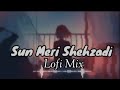 Sun Meri Shehzadi Mar Bhi Gaya To Main Tujhe Karta Rahunga Pyar Lofi Mix(Guru callection.07)