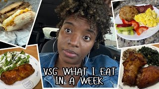 VSG JOURNEY | WHAT I EAT IN A WEEK | GASTRIC SLEEVE | BARIATRIC MEALS | VLOG