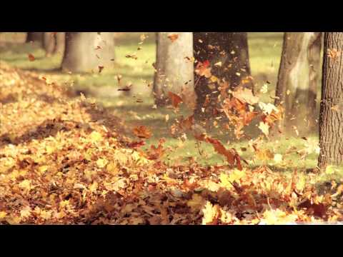 OST Glass Shoes - bisangjia - Park Wan Kyu (비상지아 - 박완규)