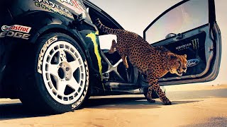 Download lagu Dj Kantik - Shenai Gamayam (Original Mix) mp3 Download lagu Dj Kantik - Shenai Gamayam (Original Mix) mp3