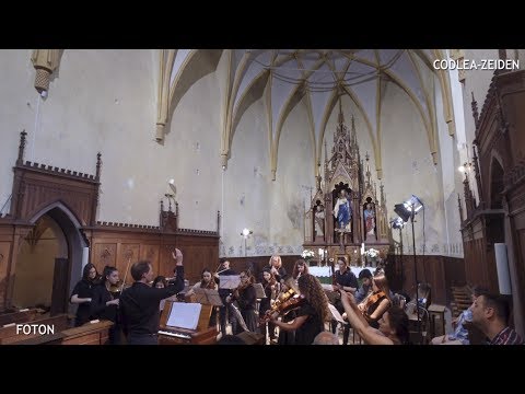 Codlea Musica Barcensis 2017