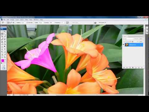Creating PNG image in photoshop tamil