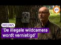 Wildcamera's verstoren leefgebied dieren: boswachters maken zich zorgen
