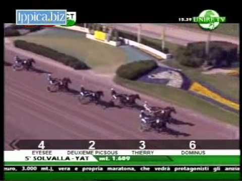 Håkan Wallner Memorial 2010 -Nevele Wood